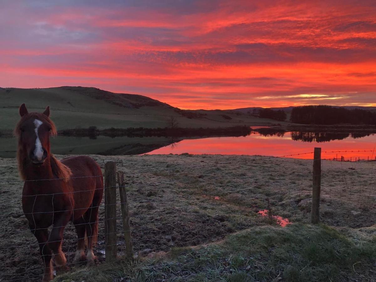 Lake View Romantic Retreat Aberystwyth Luaran gambar